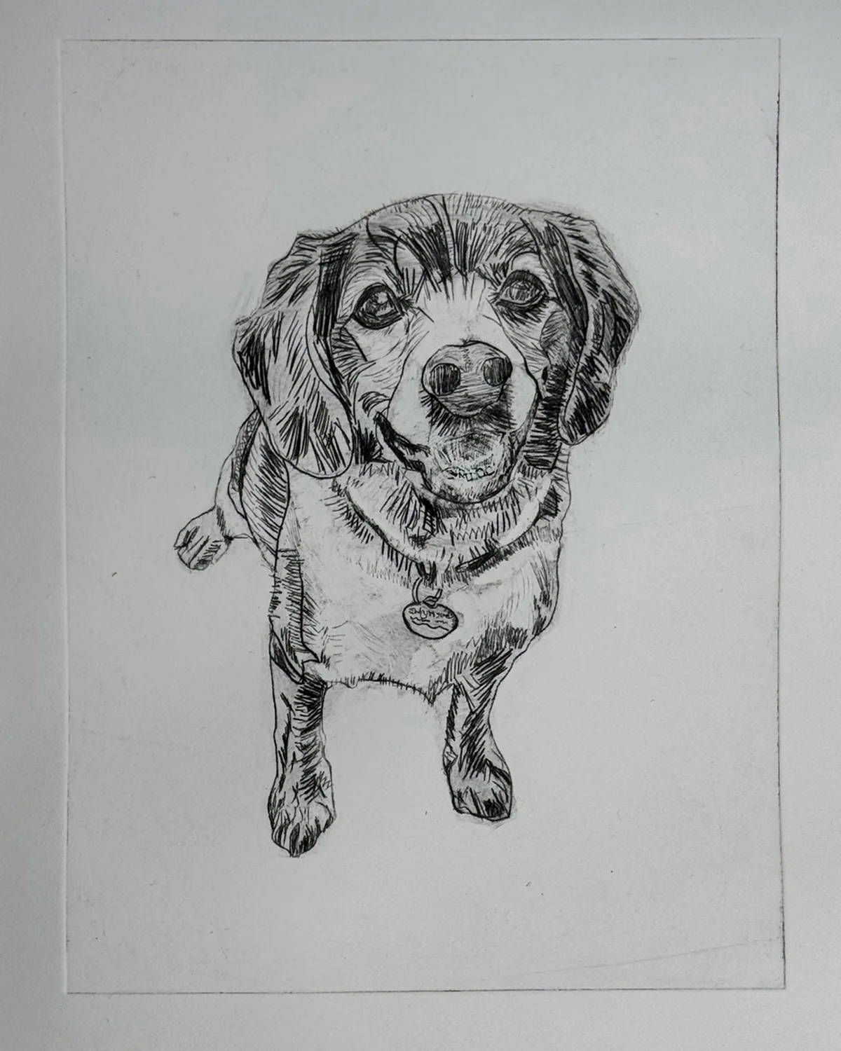 Fab Friday - Drypoint Pet Portrait- 4th Dec 2026 - Image 3