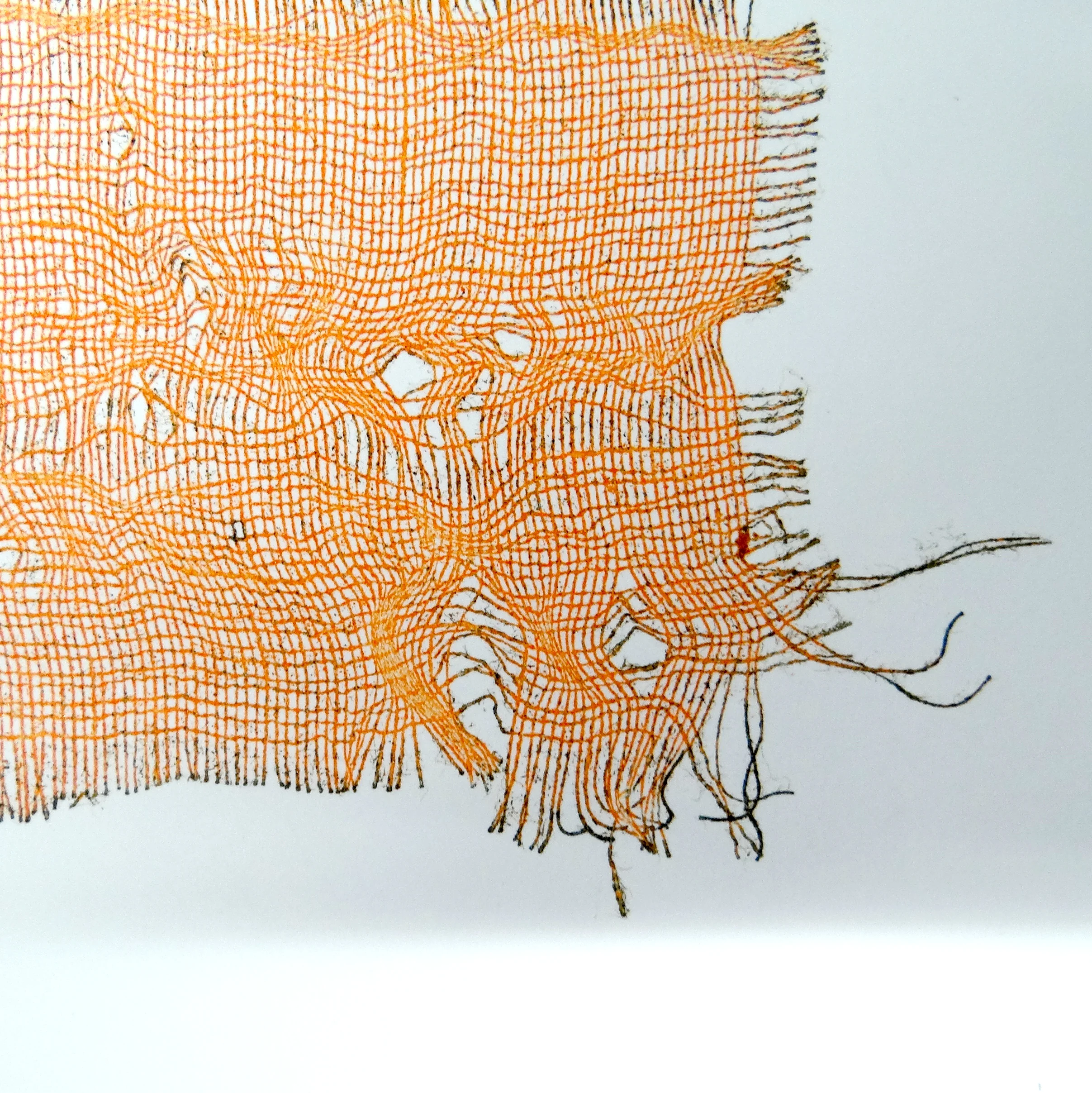 Fab Friday - Monotype with Natural Materials - 6th November 2026 - Image 2