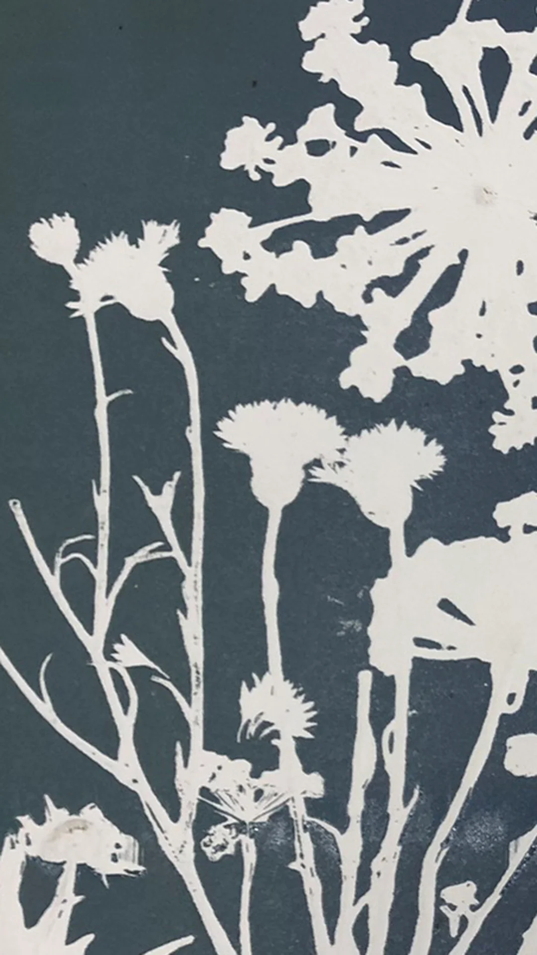 Fab Friday - Monotype with Natural Materials - 6th November 2026 - Image 4